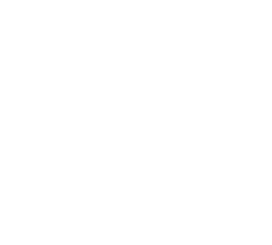 THE NONCONFORMIST NETWORK.